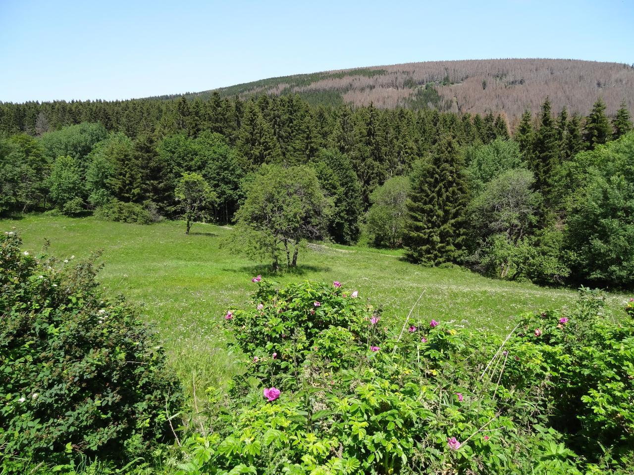 Eichsfelder Hütte interior