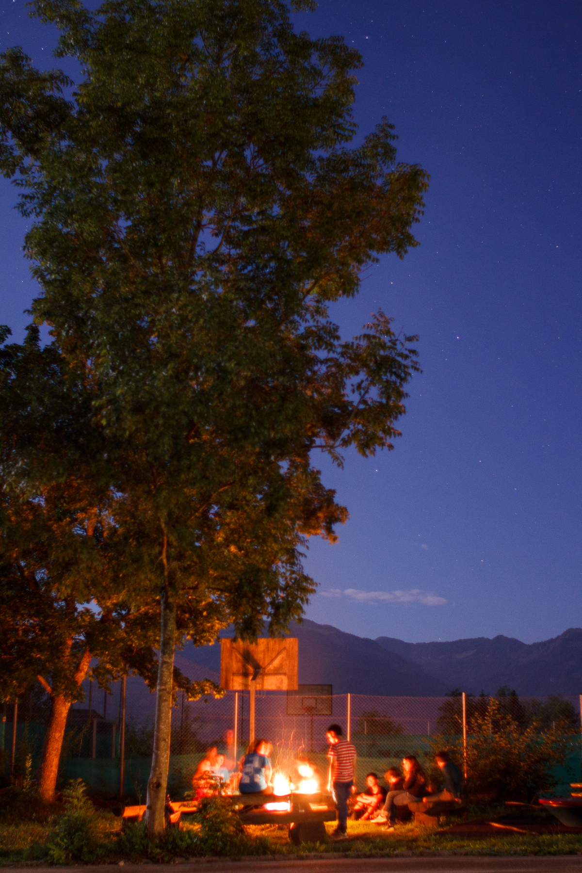 The Pleiades among trees.