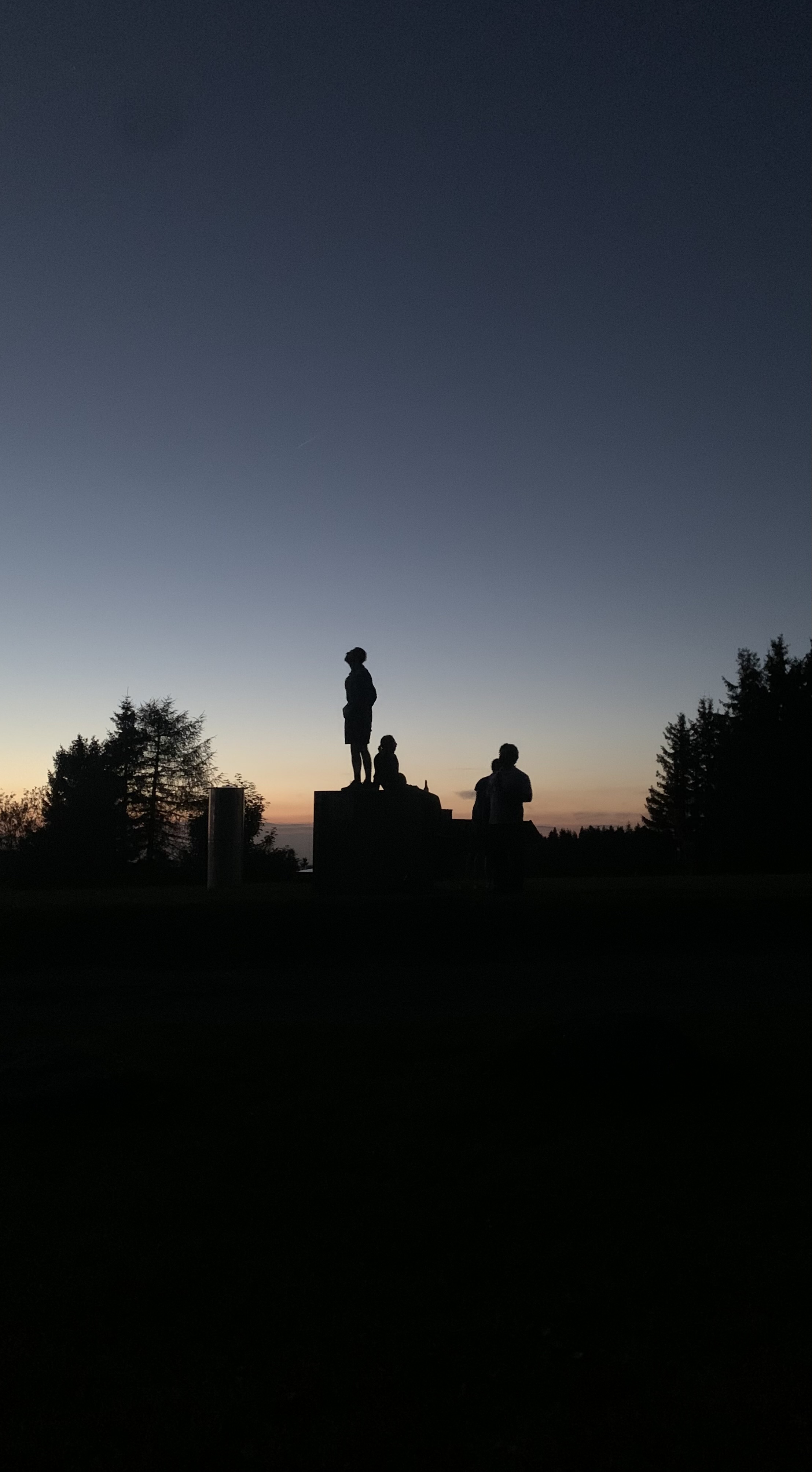 A particpant standing on a platform looking into the sky at twilight.