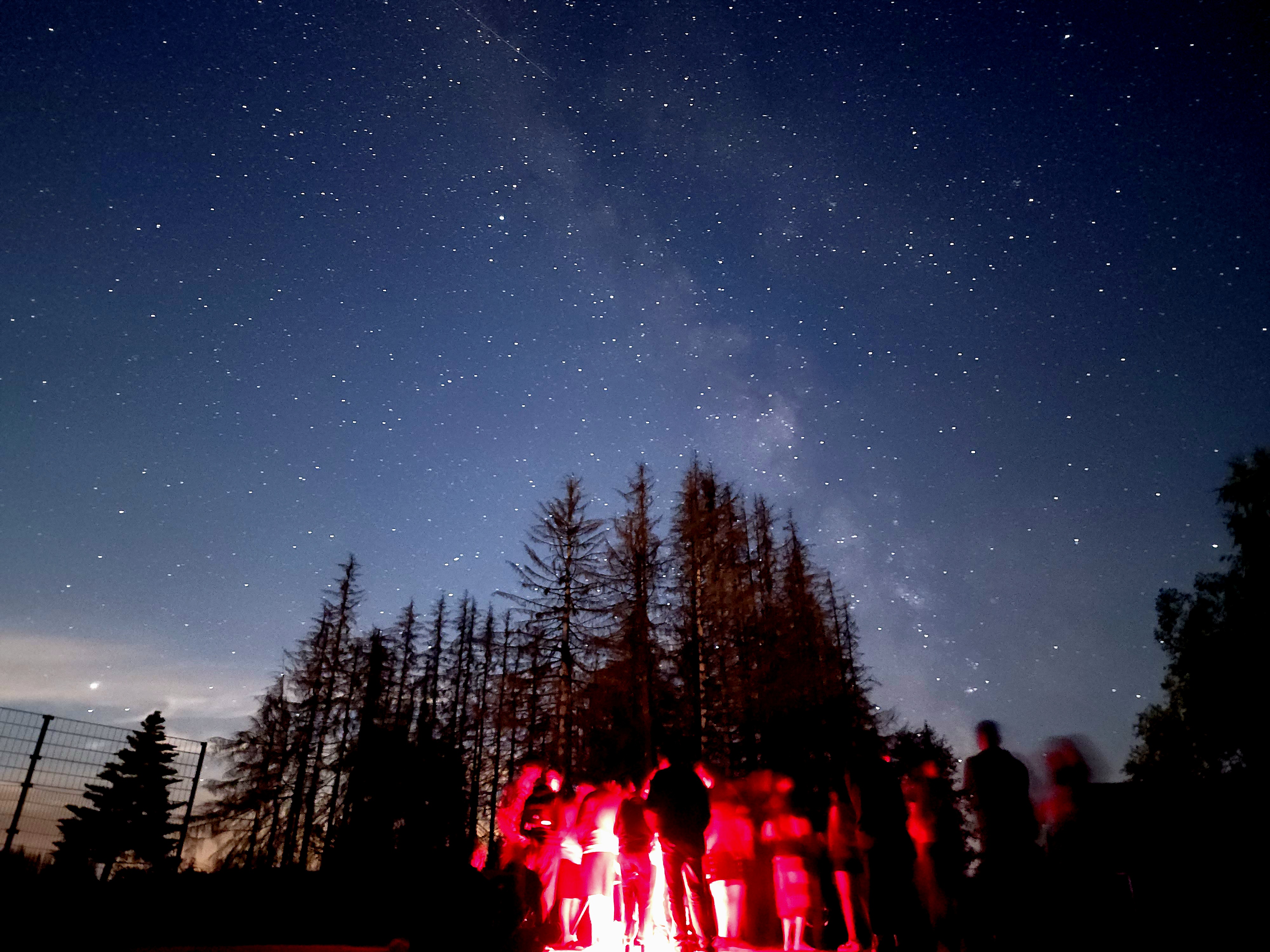Participants, illuminated by red lights, gathered around a telescope on the observation field in front of a cluster of trees.
