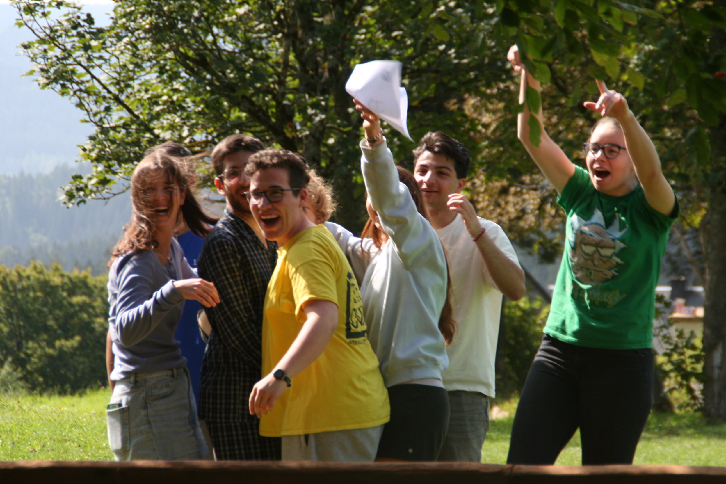 Working group collaboration