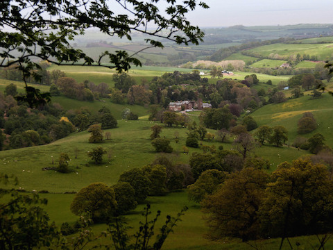 Nettlecombe Court